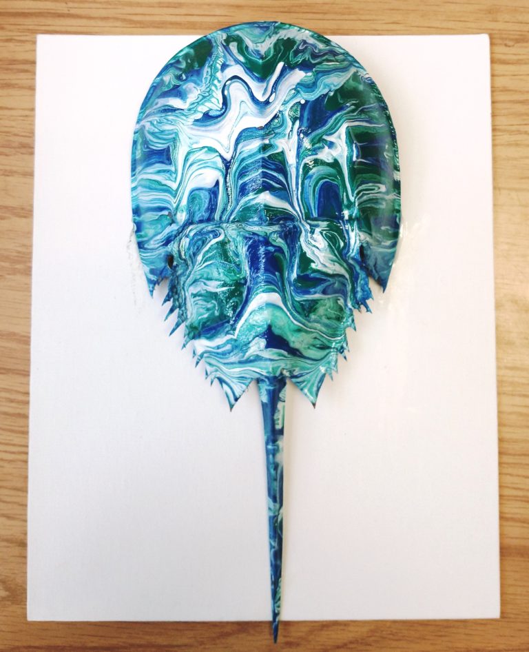 Horseshoe Crab Art with Kay Brooks Gibsonville Public Library